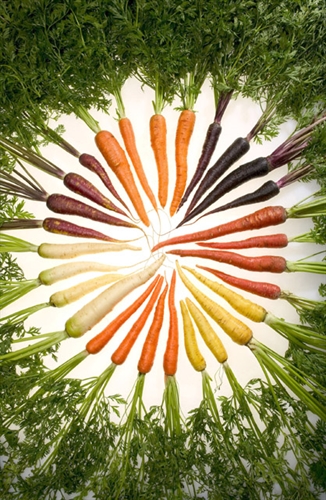 multi colored carrots arranged in circle